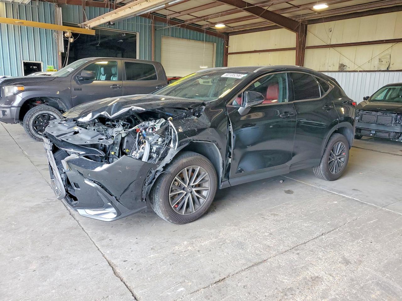 2023 LEXUS NX