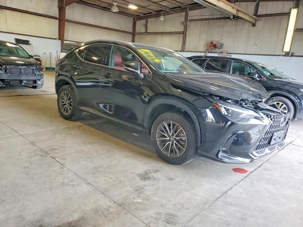 2023 LEXUS NX