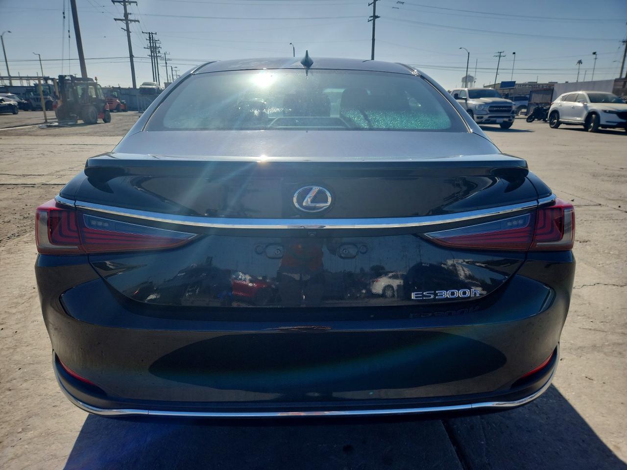 2019 LEXUS ES 300h