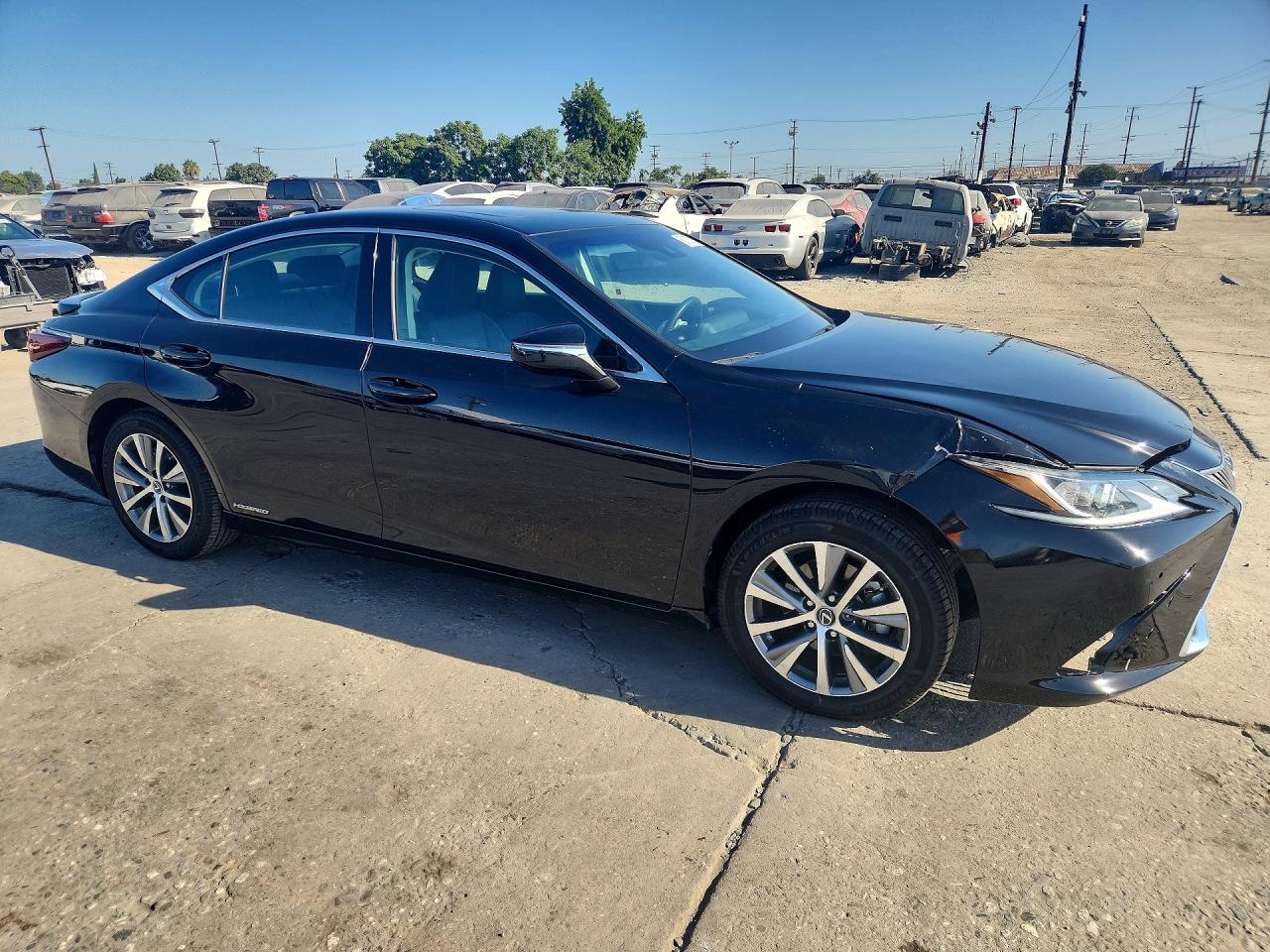 2019 LEXUS ES 300h
