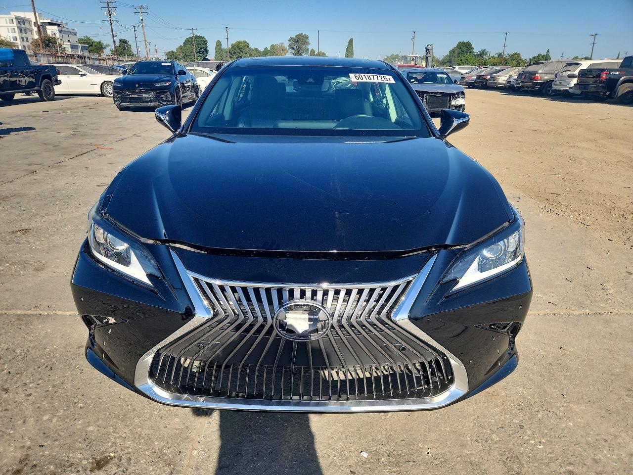 2019 LEXUS ES 300h