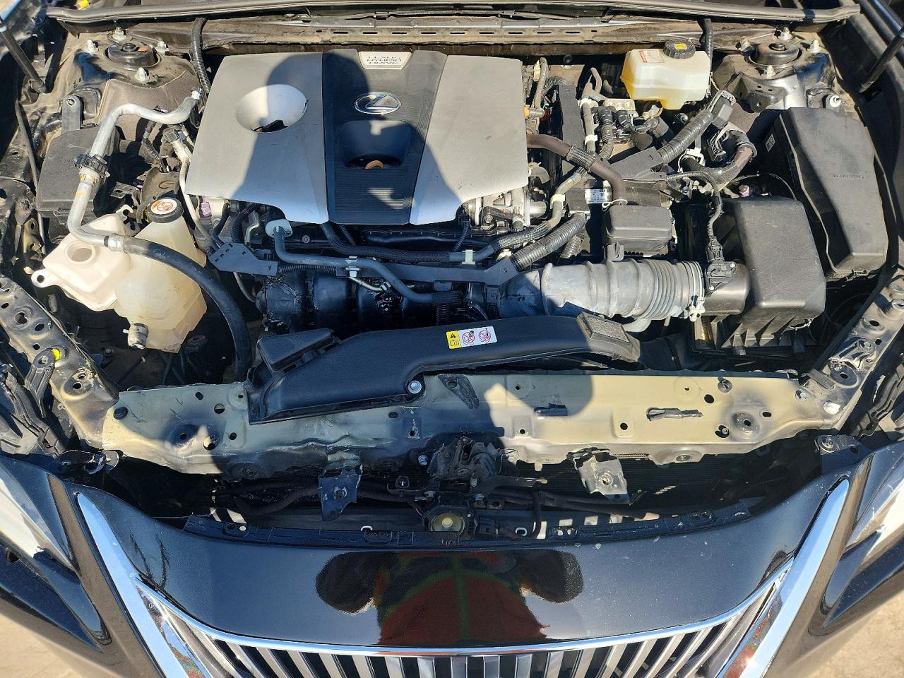 2019 LEXUS ES 300h