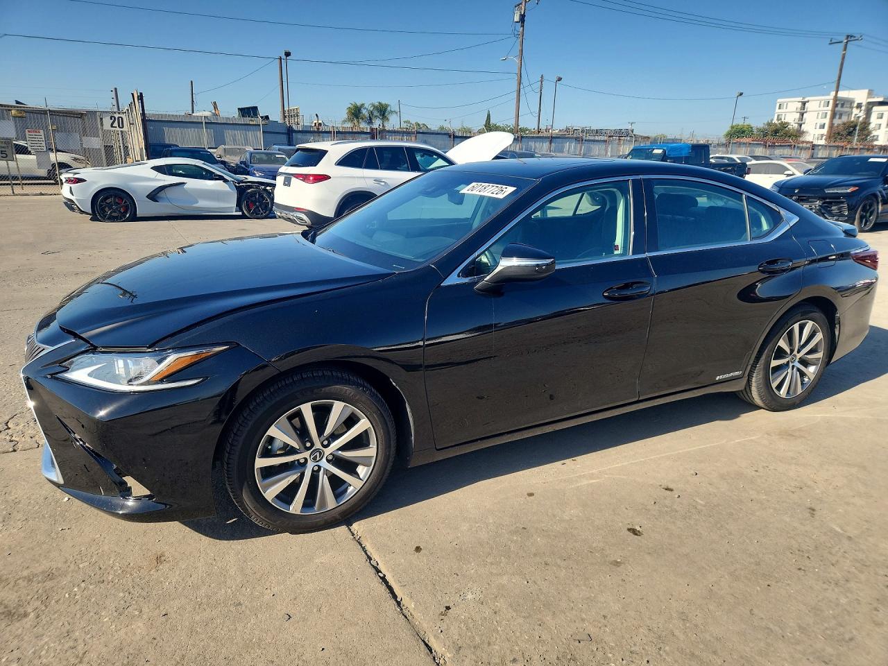2019 LEXUS ES 300h
