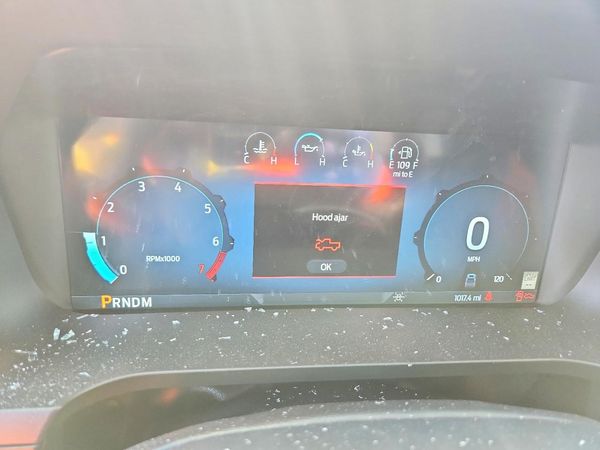 2025 FORD F150 XLT