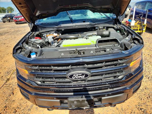 2025 FORD F150 XLT