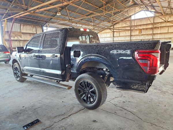 2025 FORD F150 Platinum