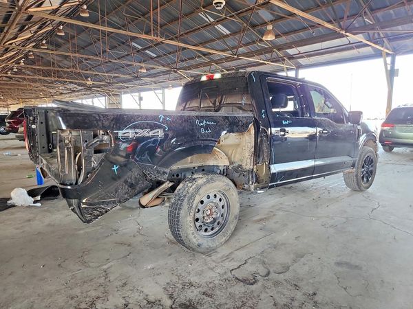 2025 FORD F150 Platinum