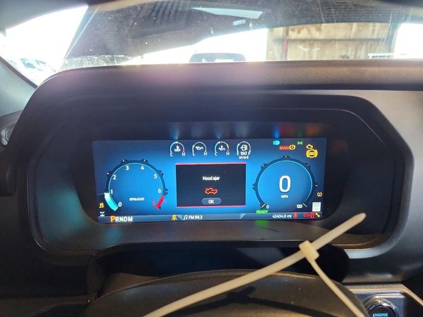 2025 FORD F150 Platinum
