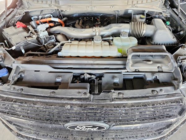 2025 FORD F150 Platinum