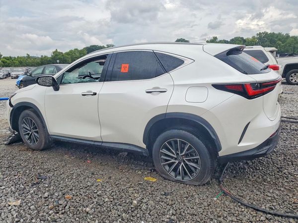 2023 LEXUS NX 350 Premium