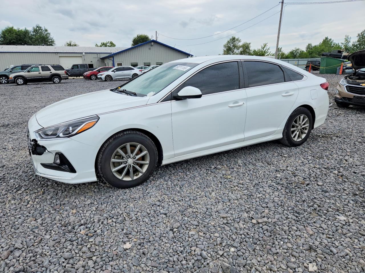 2019 HYUNDAI SONATA Eco Turbo, SE