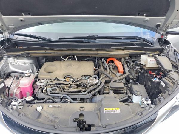 2023 TOYOTA SIENNA
