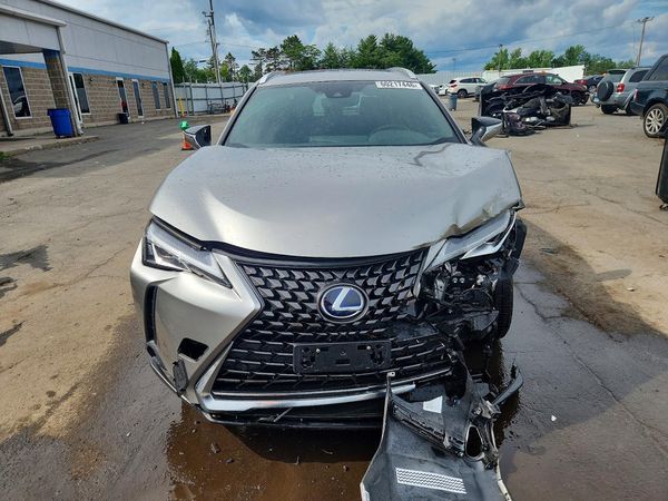 2019 LEXUS UX