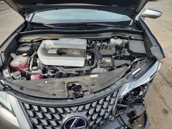 2019 LEXUS UX