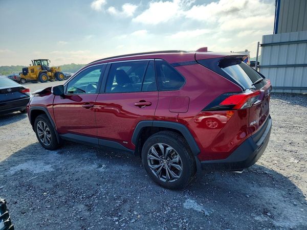 2024 TOYOTA RAV4 XLE Premium