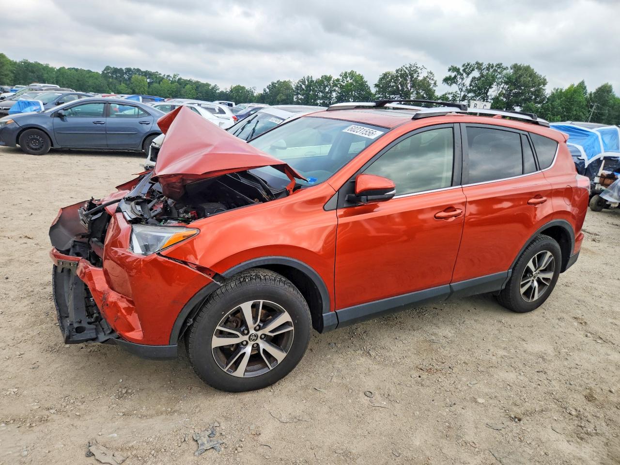 2016 TOYOTA RAV4 XLE (M Grade)