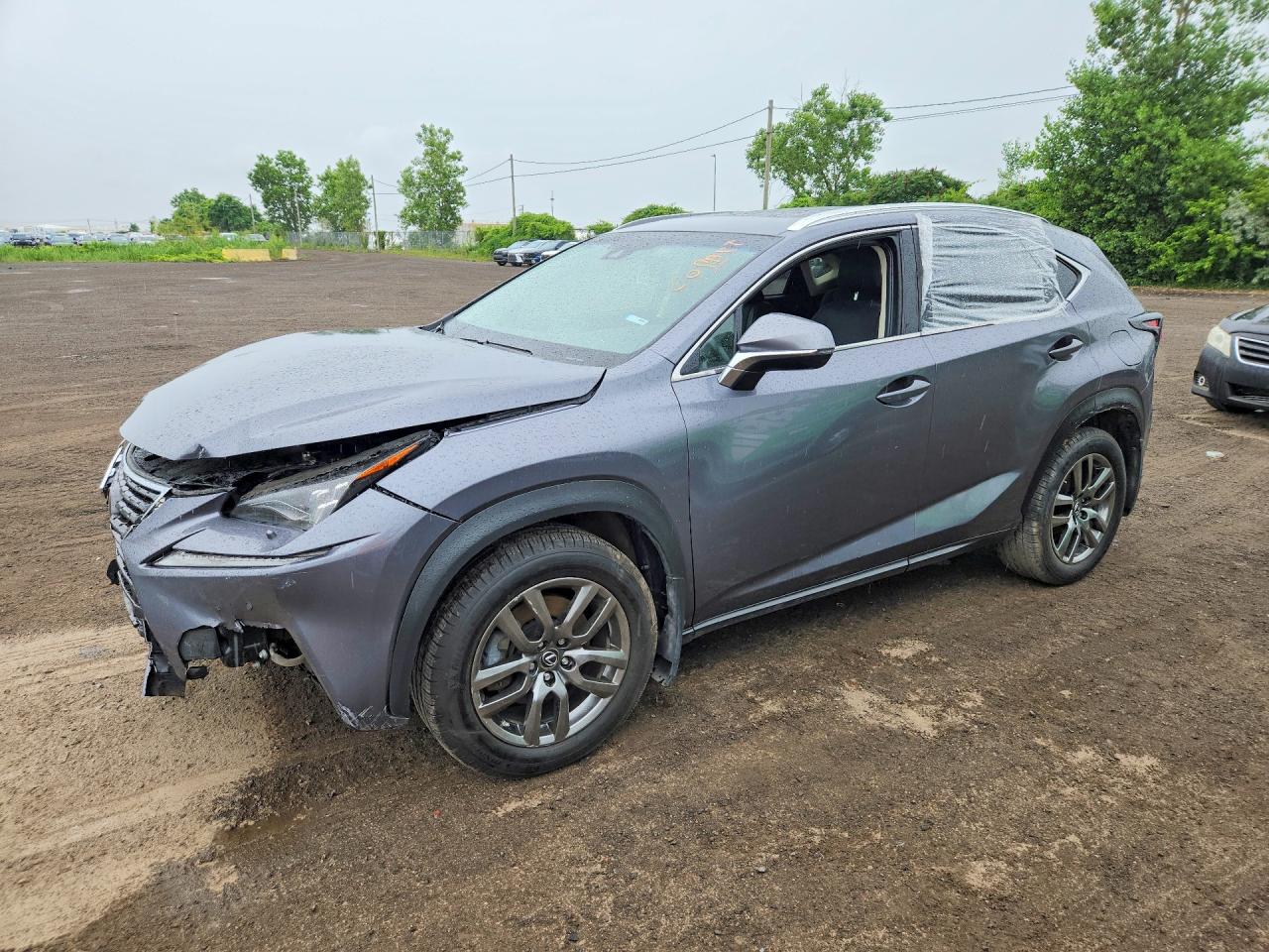 2018 LEXUS NX 300 300 Luxury
