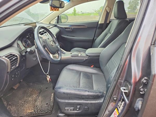 2018 LEXUS NX 300 300 Luxury