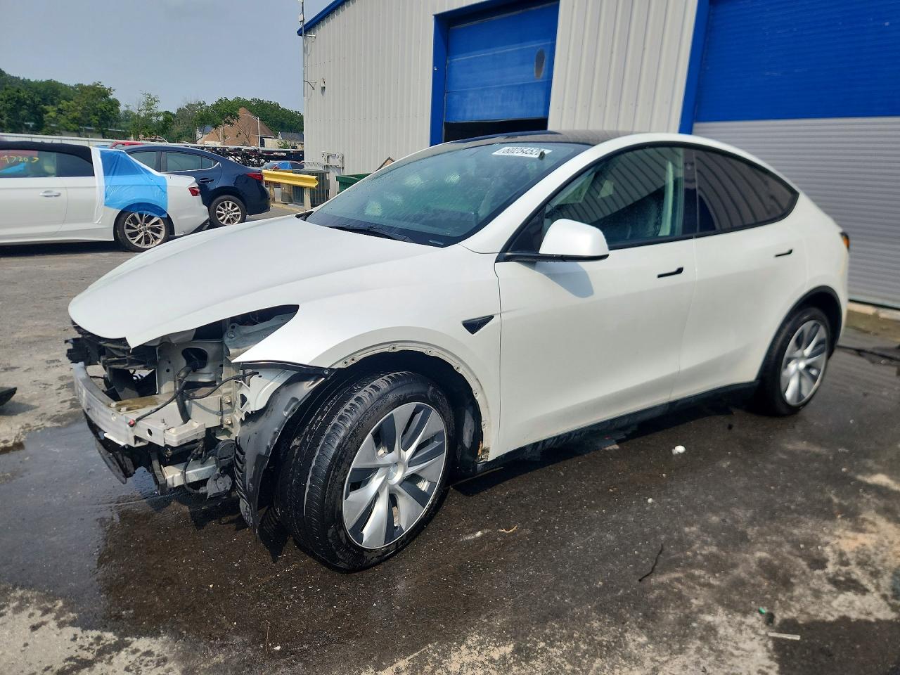 2021 TESLA MODEL Y