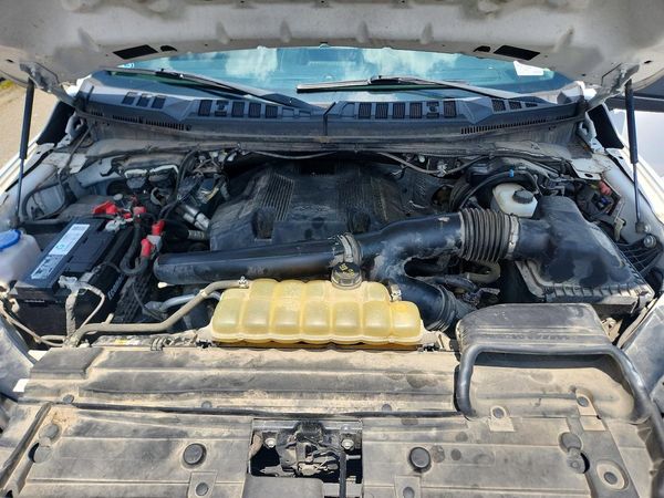 2019 FORD F150
