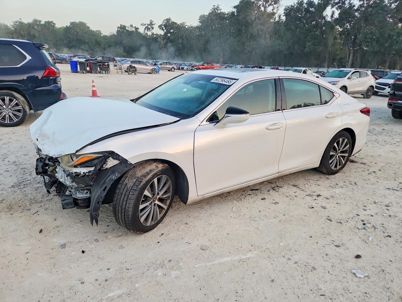 2019 LEXUS ES