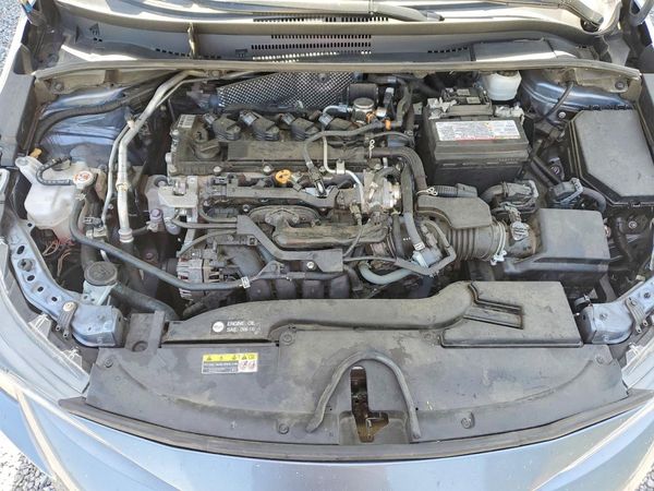 2023 TOYOTA COROLLA