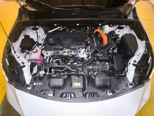 2022 TOYOTA VENZA