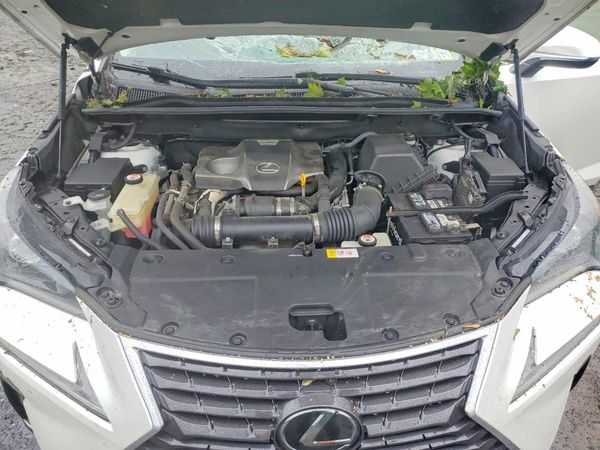 2018 LEXUS NX 300