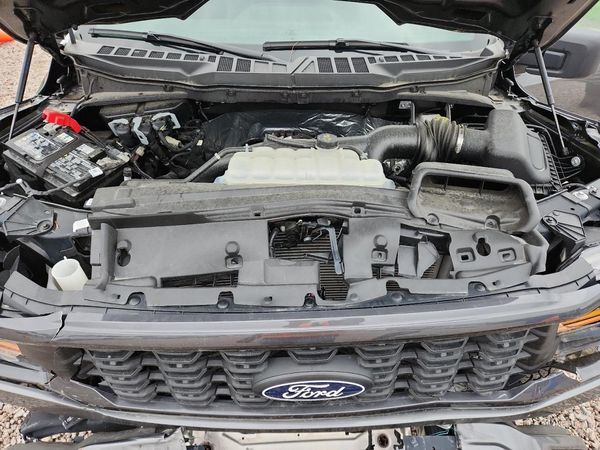 2025 FORD F150 STX