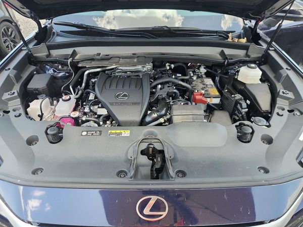 2026 LEXUS TX 350