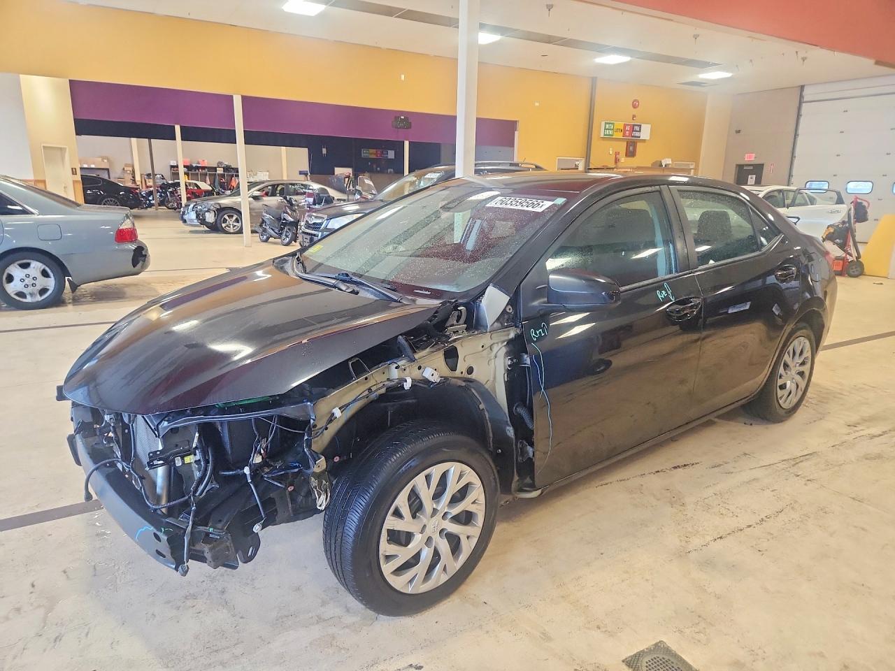 2019 TOYOTA COROLLA