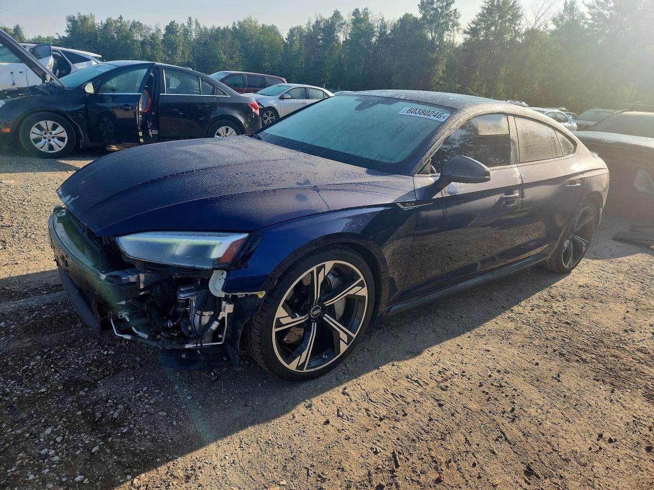 2019 AUDI RS5 quattro