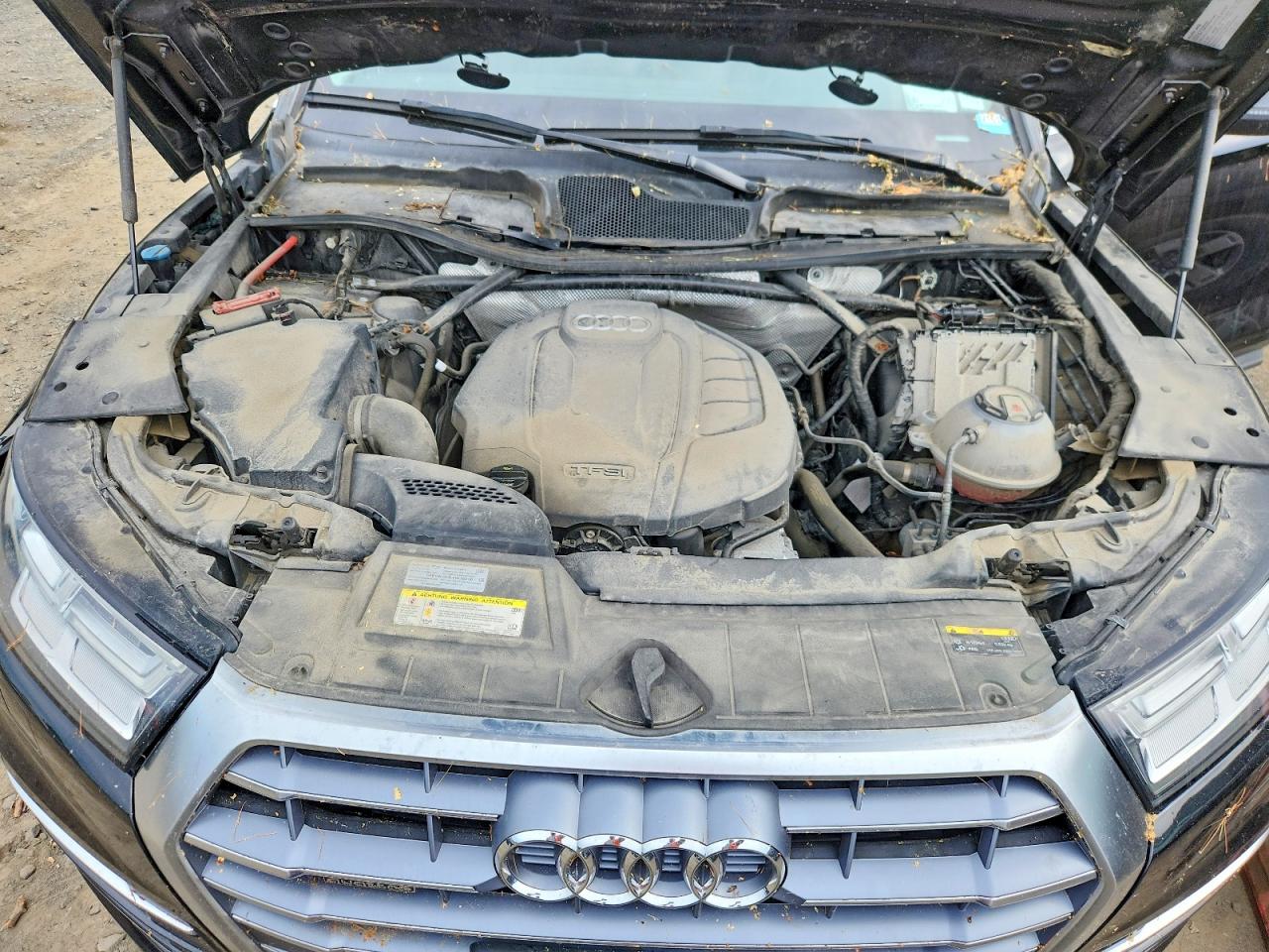 2019 AUDI Q5 quattro Premium Plus