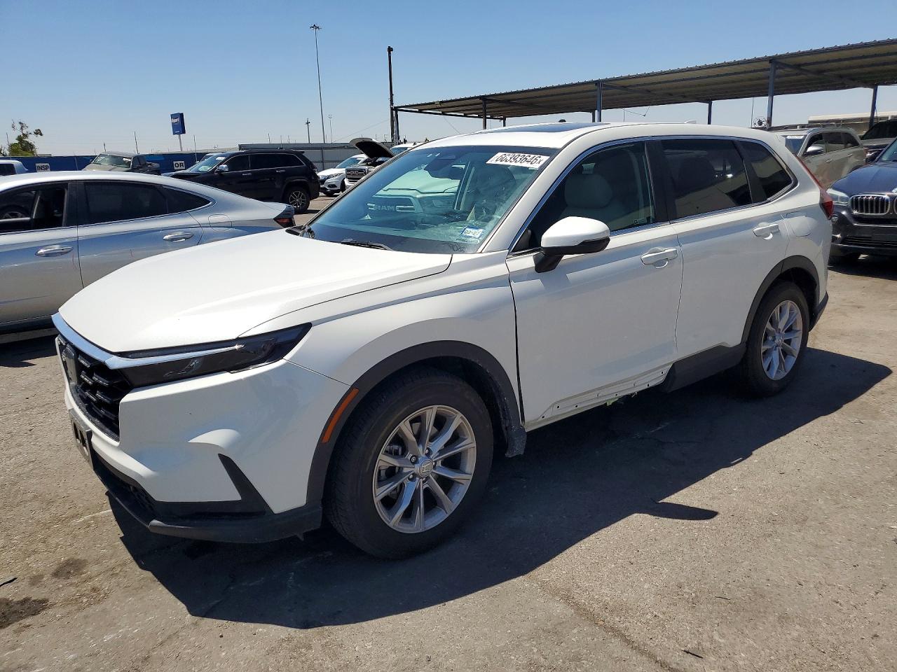 2024 HONDA CR-V EX-L