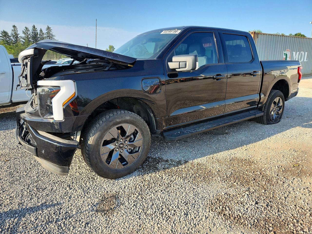 2025 FORD F150 XLT