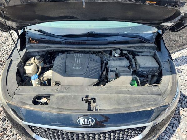 2015 KIA SEDONA L - Low level