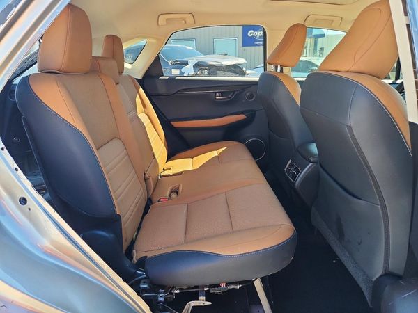 2019 LEXUS NX 300 300 Luxury