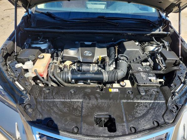 2019 LEXUS NX 300 300 Luxury