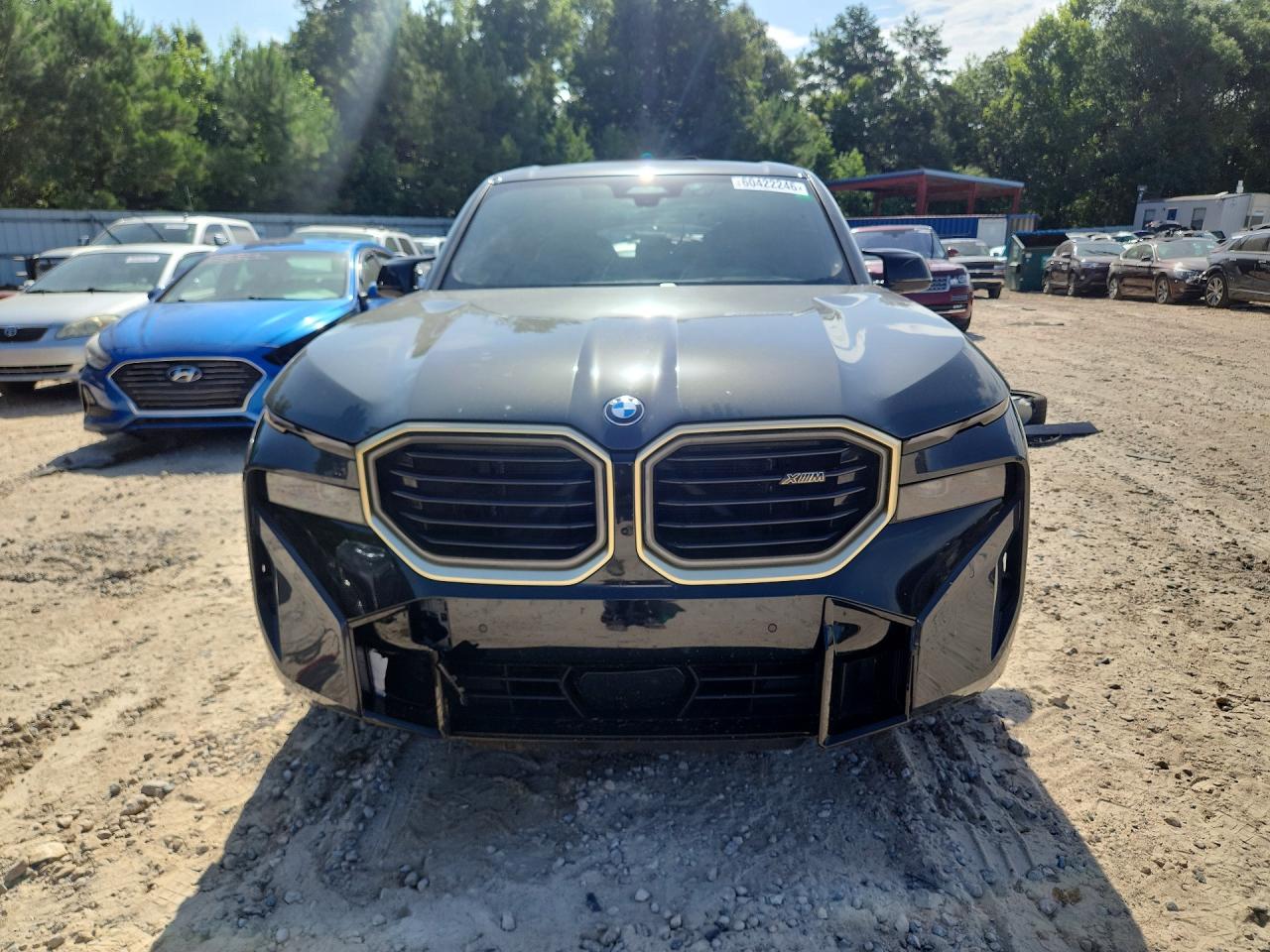 2023 BMW XM