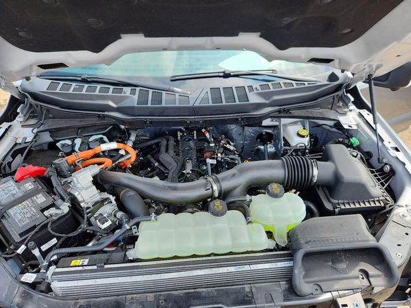 2025 FORD F150 XLT
