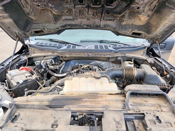 2025 FORD F150 STX