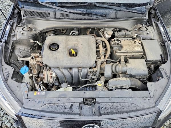 2019 KIA FORTE FE/LX/LXS