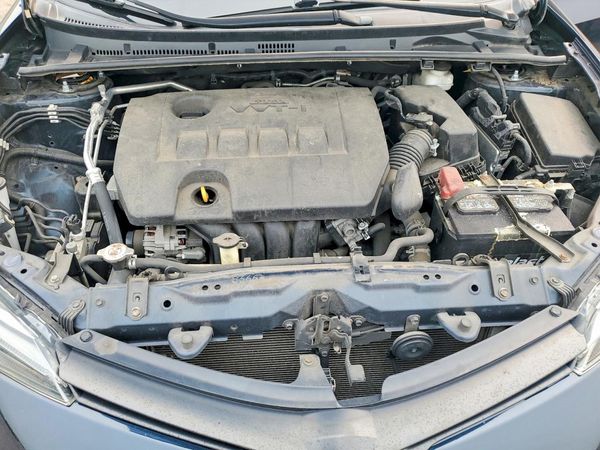 2019 TOYOTA COROLLA
