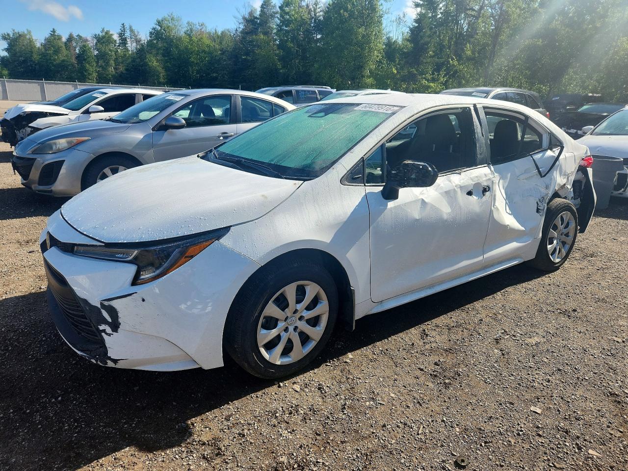 2026 TOYOTA COROLLA