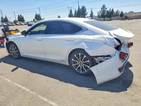 2019 LEXUS ES 300h