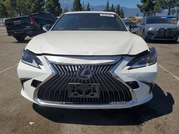 2019 LEXUS ES 300h