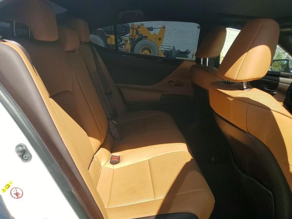 2019 LEXUS ES 300h