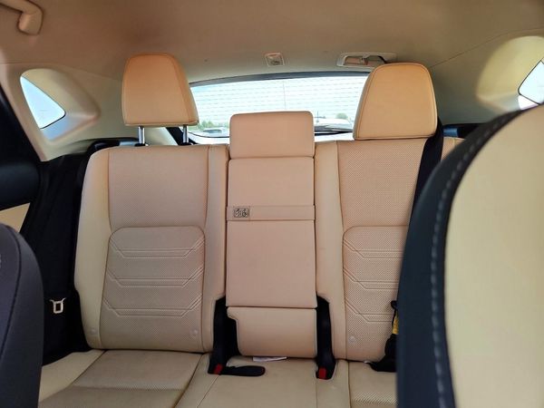 2016 LEXUS NX 300h Luxury