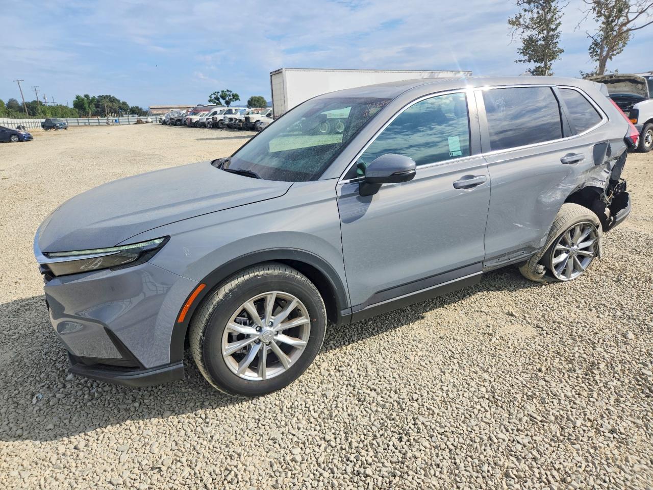 2024 HONDA CR-V