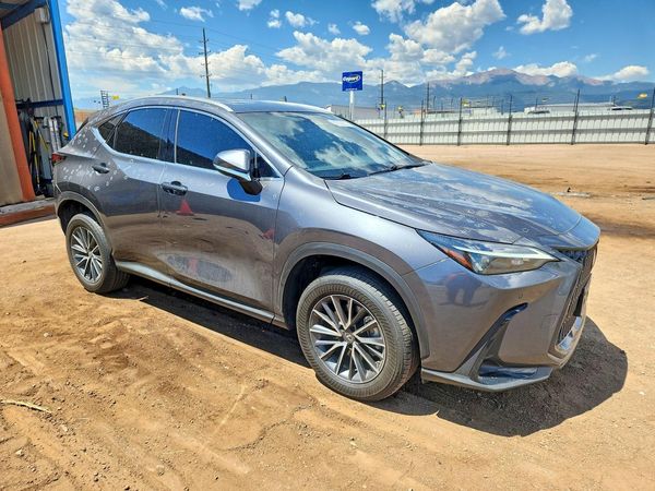2023 LEXUS NX 350 Premium